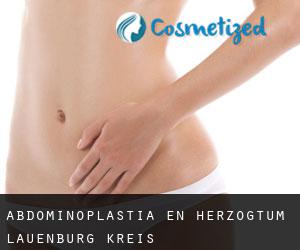 Abdominoplastia en Herzogtum Lauenburg Kreis