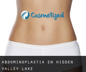 Abdominoplastia en Hidden Valley Lake