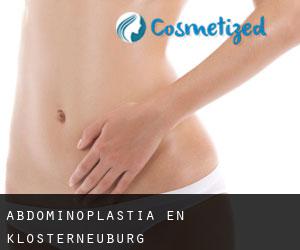Abdominoplastia en Klosterneuburg