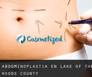 Abdominoplastia en Lake of the Woods County