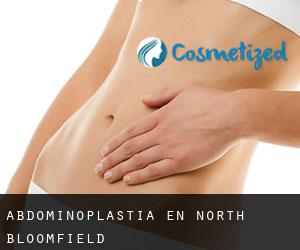 Abdominoplastia en North Bloomfield