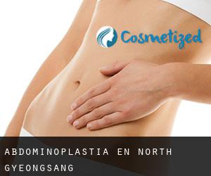 Abdominoplastia en North Gyeongsang