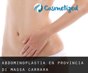 Abdominoplastia en Provincia di Massa-Carrara