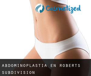 Abdominoplastia en Roberts Subdivision