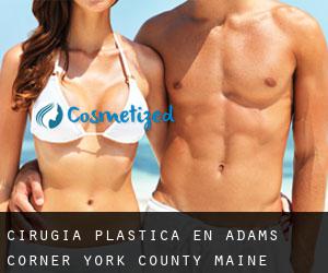 cirugía plástica en Adams Corner (York County, Maine)
