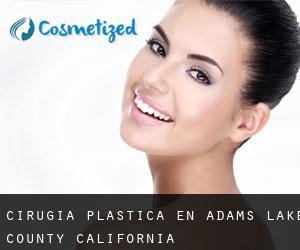 cirugía plástica en Adams (Lake County, California)