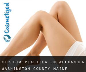 cirugía plástica en Alexander (Washington County, Maine)