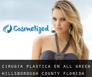 cirugía plástica en All Green (Hillsborough County, Florida)