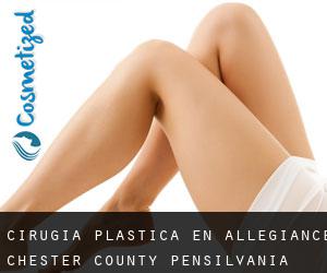 cirugía plástica en Allegiance (Chester County, Pensilvania)
