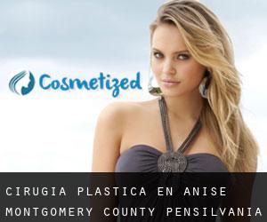 cirugía plástica en Anise (Montgomery County, Pensilvania)