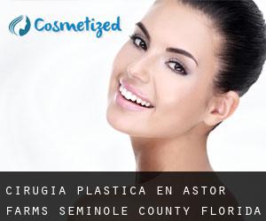 cirugía plástica en Astor Farms (Seminole County, Florida)