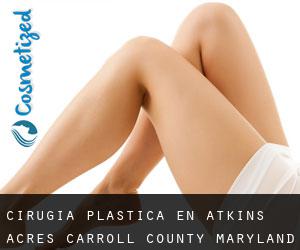 cirugía plástica en Atkins Acres (Carroll County, Maryland)