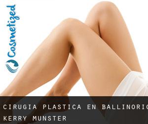 cirugía plástica en Ballinorig (Kerry, Munster)