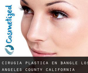 cirugía plástica en Bangle (Los Angeles County, California)