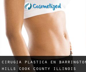 cirugía plástica en Barrington Hills (Cook County, Illinois)