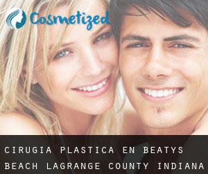 cirugía plástica en Beatys Beach (LaGrange County, Indiana)