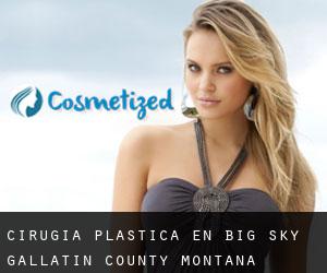 cirugía plástica en Big Sky (Gallatin County, Montana)