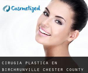 cirugía plástica en Birchrunville (Chester County, Pensilvania)