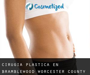 cirugía plástica en Bramblewood (Worcester County, Maryland)