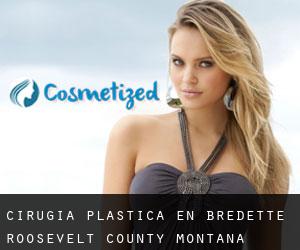 cirugía plástica en Bredette (Roosevelt County, Montana)