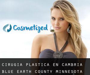 cirugía plástica en Cambria (Blue Earth County, Minnesota)