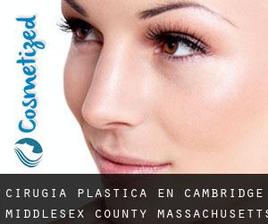 cirugía plástica en Cambridge (Middlesex County, Massachusetts)