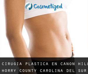 cirugía plástica en Canon Hill (Horry County, Carolina del Sur)