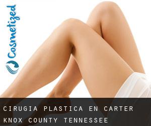 cirugía plástica en Carter (Knox County, Tennessee)