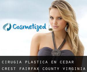 cirugía plástica en Cedar Crest (Fairfax County, Virginia)