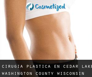 cirugía plástica en Cedar Lake (Washington County, Wisconsin)