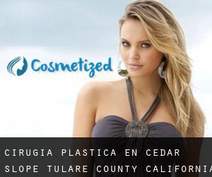cirugía plástica en Cedar Slope (Tulare County, California)