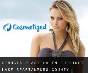 cirugía plástica en Chestnut Lake (Spartanburg County, Carolina del Sur)