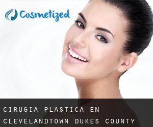 cirugía plástica en Clevelandtown (Dukes County, Massachusetts)