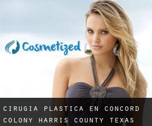 cirugía plástica en Concord Colony (Harris County, Texas)