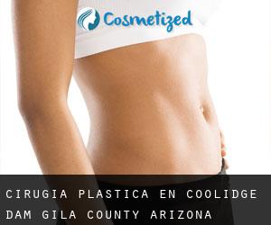 cirugía plástica en Coolidge Dam (Gila County, Arizona)