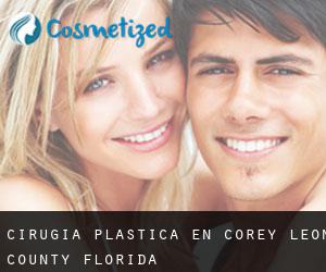 cirugía plástica en Corey (Leon County, Florida)