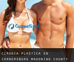 cirugía plástica en Cornersburg (Mahoning County, Ohio)