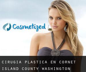 cirugía plástica en Cornet (Island County, Washington)