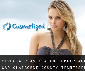 cirugía plástica en Cumberland Gap (Claiborne County, Tennessee)