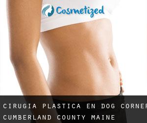 cirugía plástica en Dog Corner (Cumberland County, Maine)