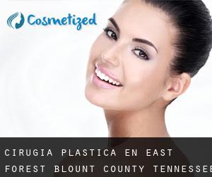 cirugía plástica en East Forest (Blount County, Tennessee)