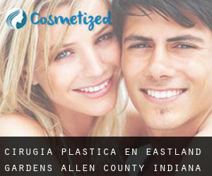 cirugía plástica en Eastland Gardens (Allen County, Indiana)