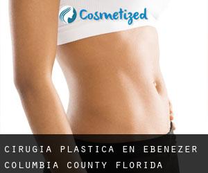 cirugía plástica en Ebenezer (Columbia County, Florida)