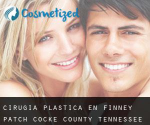 cirugía plástica en Finney Patch (Cocke County, Tennessee)