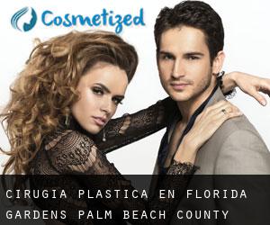 cirugía plástica en Florida Gardens (Palm Beach County, Florida)