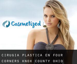 cirugía plástica en Four Corners (Knox County, Ohio)