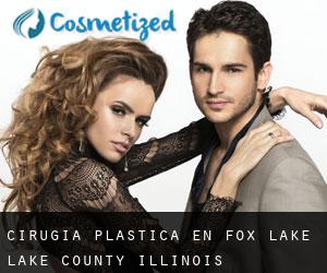 cirugía plástica en Fox Lake (Lake County, Illinois)
