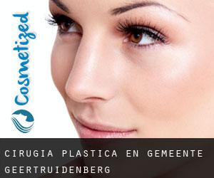 cirugía plástica en Gemeente Geertruidenberg