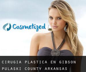 cirugía plástica en Gibson (Pulaski County, Arkansas)