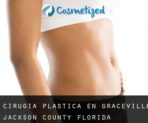 cirugía plástica en Graceville (Jackson County, Florida)